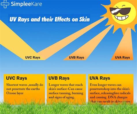 Protect Your Skin from UV Rays: The Magic of the Sun Protection Shield